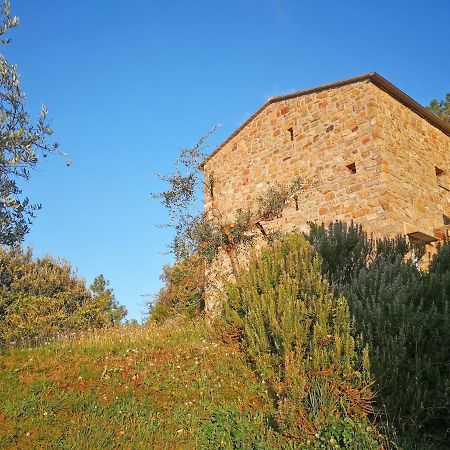 Cottage La Torre Del Pittore Бонассола Екстер'єр фото