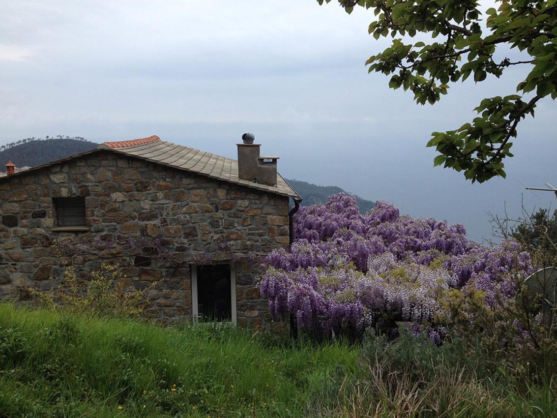 Cottage La Torre Del Pittore Бонассола Екстер'єр фото