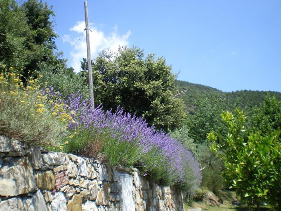 Cottage La Torre Del Pittore Бонассола Екстер'єр фото