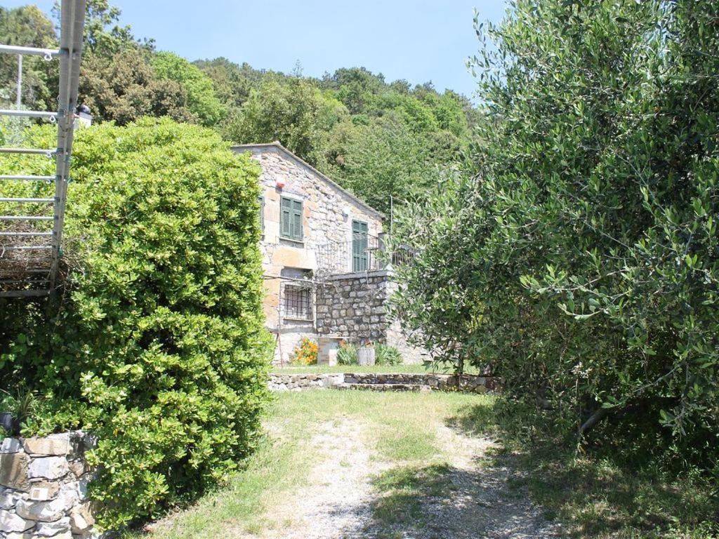 Cottage La Torre Del Pittore Бонассола Екстер'єр фото