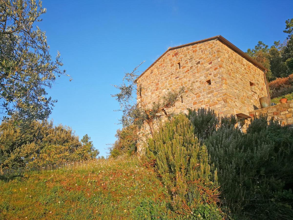 Cottage La Torre Del Pittore Бонассола Екстер'єр фото