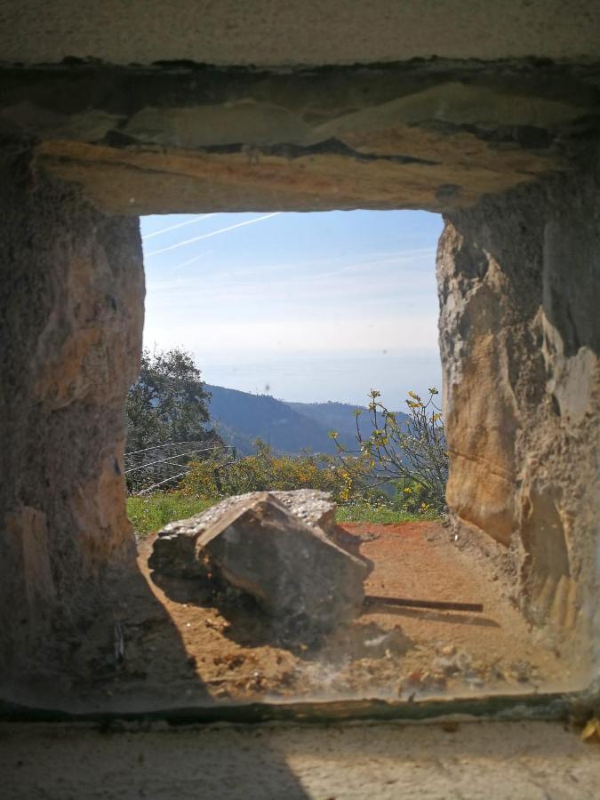 Cottage La Torre Del Pittore Бонассола Екстер'єр фото