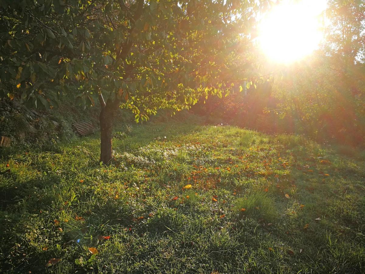 Cottage La Torre Del Pittore Бонассола Екстер'єр фото