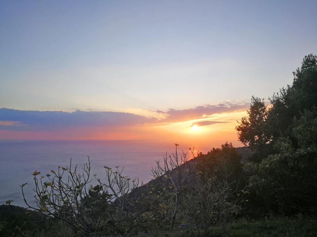 Cottage La Torre Del Pittore Бонассола Екстер'єр фото