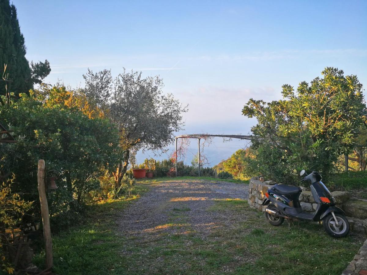 Cottage La Torre Del Pittore Бонассола Екстер'єр фото